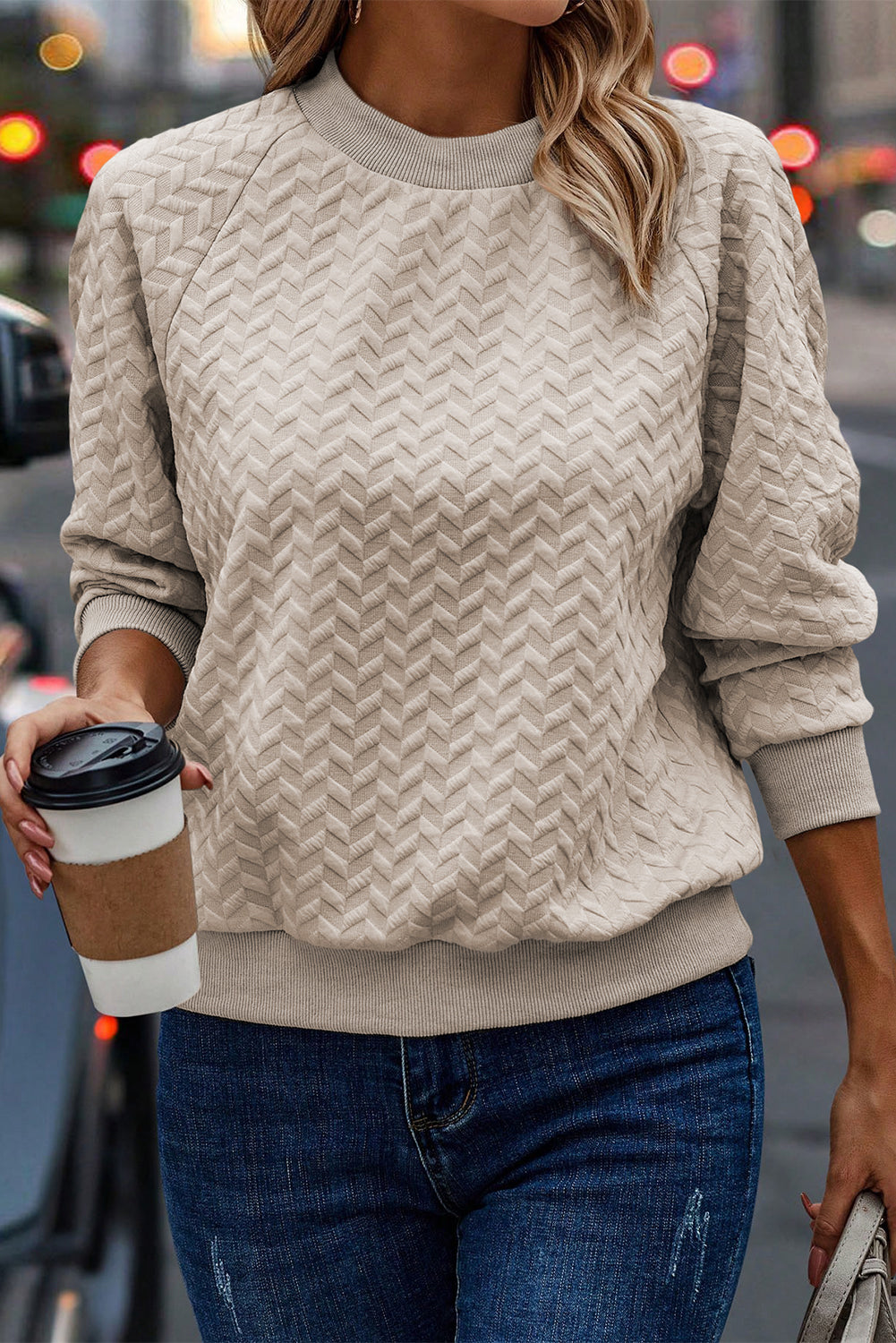 Textured Raglan Sleeve Pullover Sweatshirt