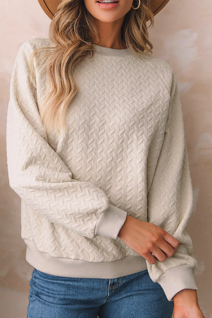 Textured Raglan Sleeve Pullover Sweatshirt