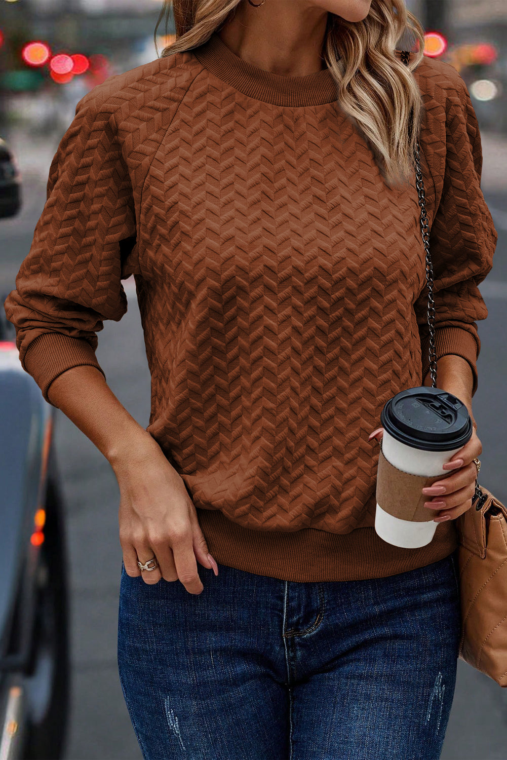 Textured Raglan Sleeve Pullover Sweatshirt