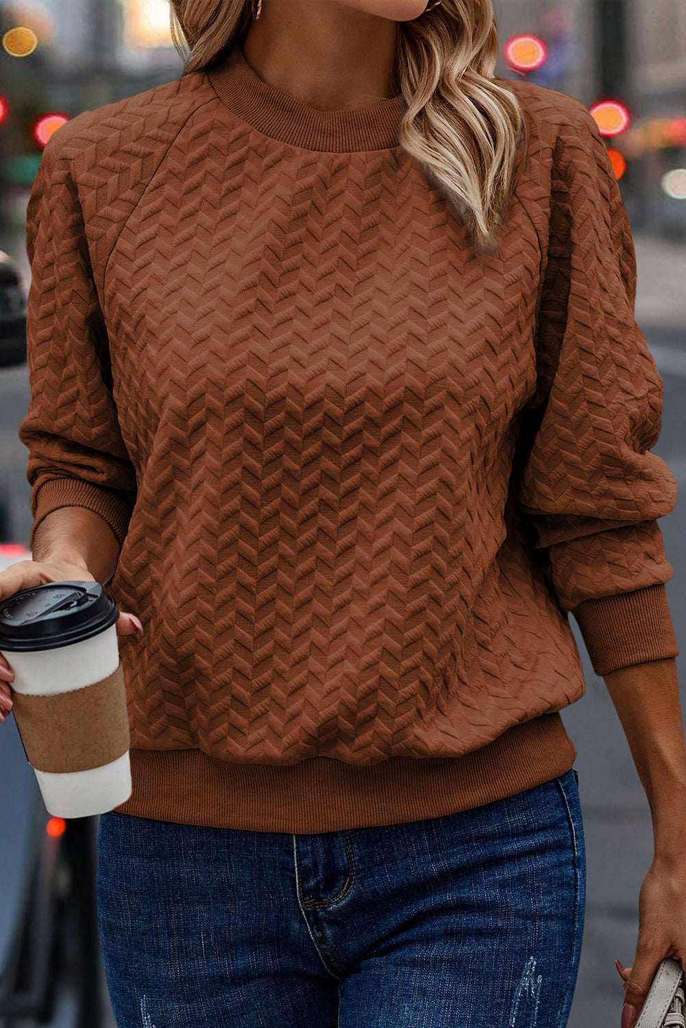 Textured Raglan Sleeve Pullover Sweatshirt